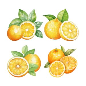 citrus watercolor