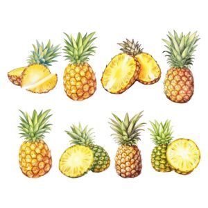 pineapple clipart
