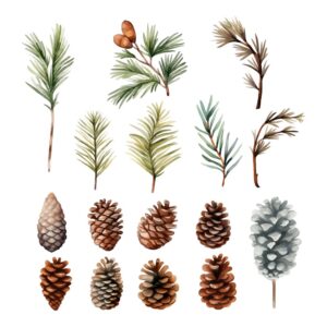 Watercolor Pine