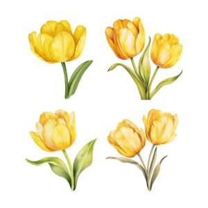 Yellow Tulip Clipart